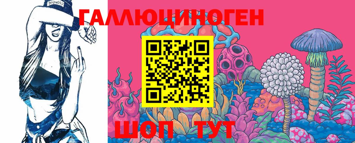 Нововоронеж  Псилоцибиновые грибы Psilocybe  Вход с VPN  Псилоцибиновые грибы GOLDEN TEACHER 